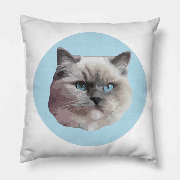 Ragdoll Cat Pillow by NV