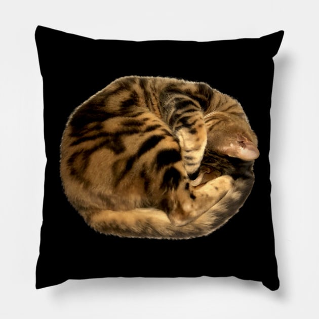 Cat Roll Pillow by CCDesign