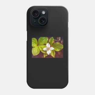 Bunchberry flower Phone Case