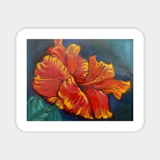 Red Hibiscus Magnet