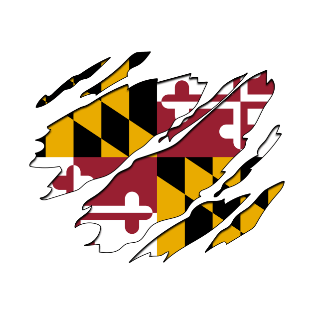 Tear Away Maryland Flag by InspiredQuotes