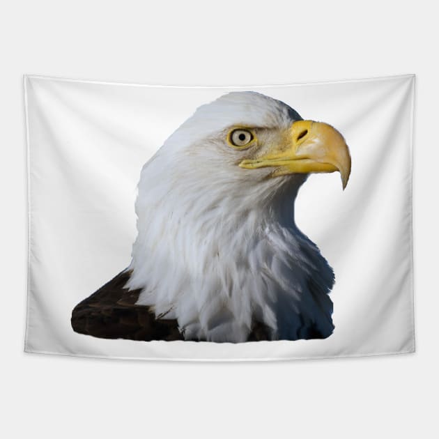 Bald Eagle Tapestry by dodgerfl