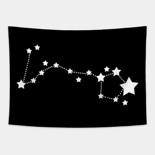 Pisces Stars Zodiac Constellation Tapestry