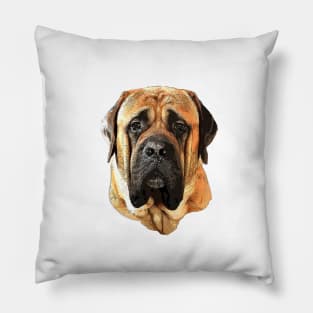 Boerboel Pillow