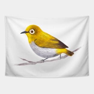 Indian White Eye Bird Species Tapestry