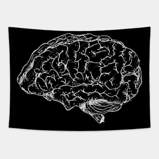 brain Tapestry