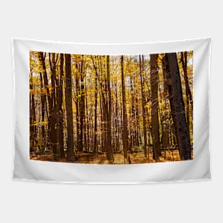 Autumn deep in forest scene on a trail Tapestry