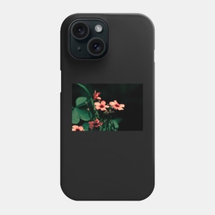 Clovers, night shot of Clover blossoming flowers Phone Case