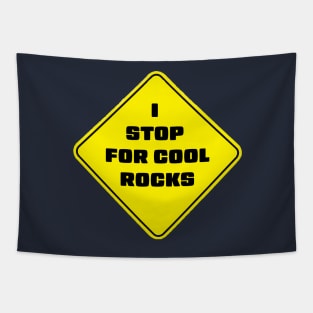 I Stop For Cool Rocks Tapestry