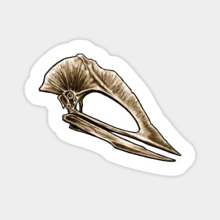 Tupuxura Pterosaur Skull Magnet