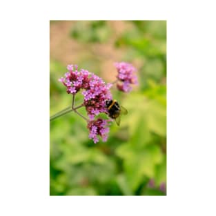 Bumblebee on vervain flower photography T-Shirt