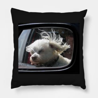 Oooh, how I love the wind and rain in my hair... Pillow