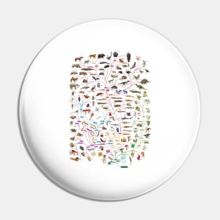 Darwinian Evolution The Tree of Life Pin