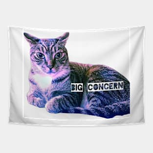 Big Concern Tapestry