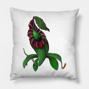 Botanical Nepenthes Pitcher Plant Carnivorous Plant Gift Idea Pillow