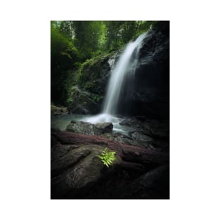 Waterfall and fern in forest T-Shirt