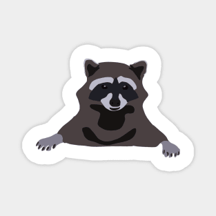 racoon Magnet