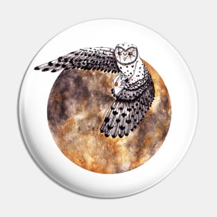 Owl post Pin