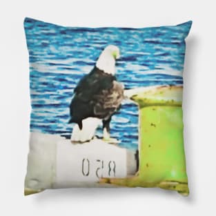 Bald Eagle sitting On Pier In Cape Canaveral, FL Pillow