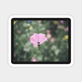 Wildflower Magnet