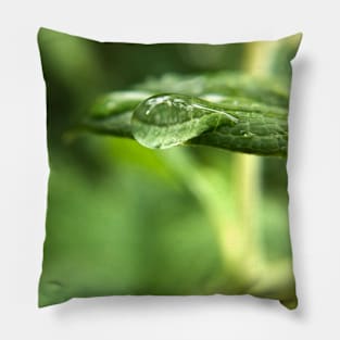 Droplet on leaf Pillow