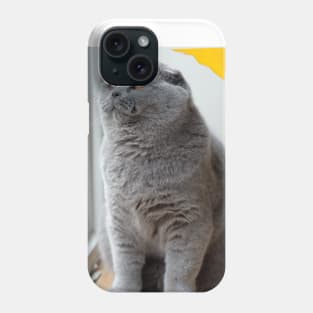 The biue cute cats Phone Case