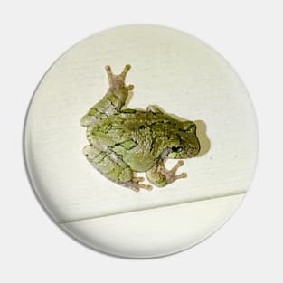 Tender Frog Pin