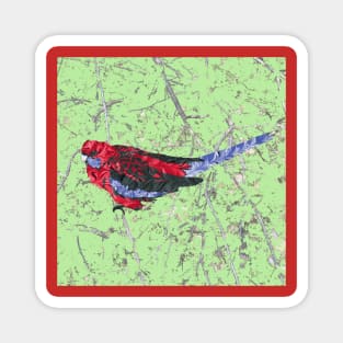 Marbled Bird Collage - Crimson Rosella Magnet