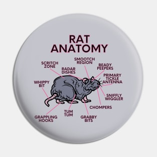 Rat anatomy Pin