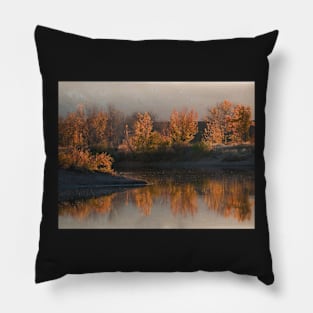 Fall Reflection Pillow