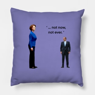 not now, not ever! Pillow