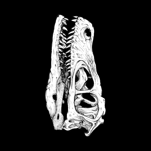 Raptor skull for science by paintchips