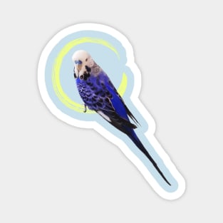 Blue budgie Magnet