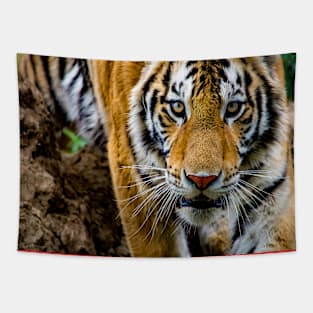 Tiger Tapestry