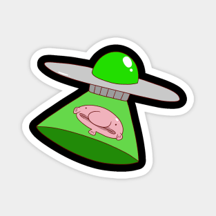 Blobfish Alien Abduction Magnet