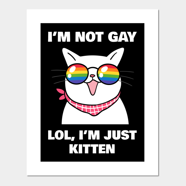 your gay cat meme