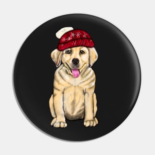 Labrador retriever- festive cute Golden Labrador retriever puppy dog in winter beanie hat Pin