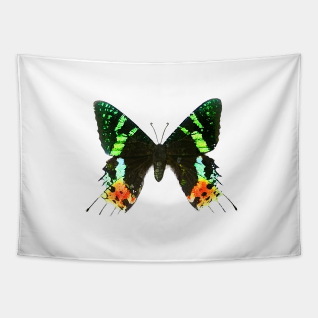 Sunset Moth Tapestry by LonelyWinters