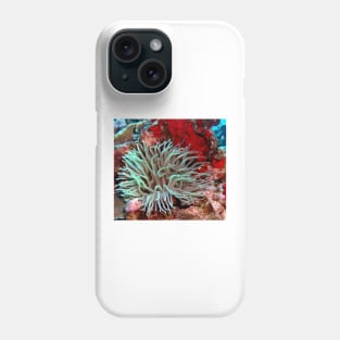 Giant Green Sea Anemone feeding near Red Coral Reef Wall Phone Case