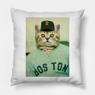 Baseball Cat Pillow