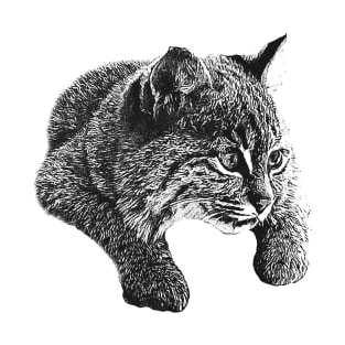 Bobcat cub T-Shirt