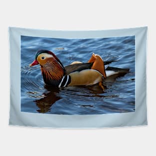 Mandarin Duck reflected in clear blue water Tapestry