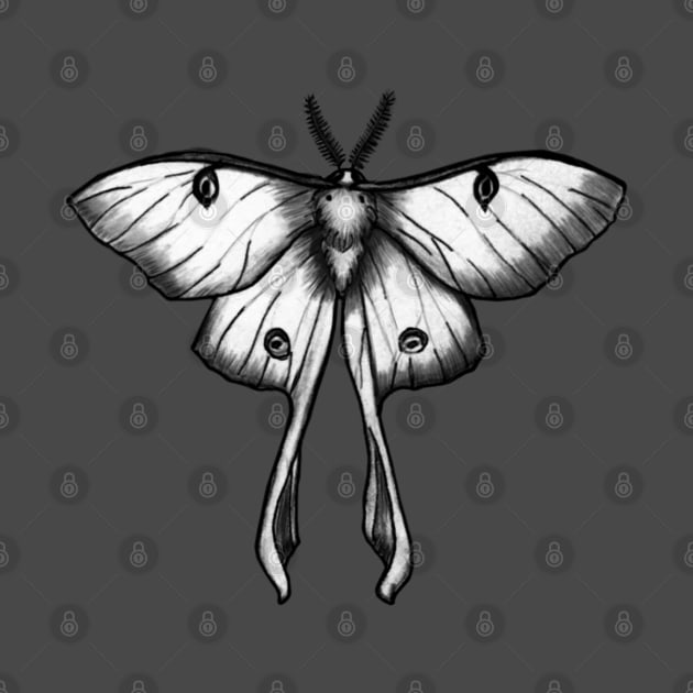 Moon Moth by SolDaathStore