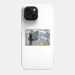 Hawaiian coot 3 Phone Case