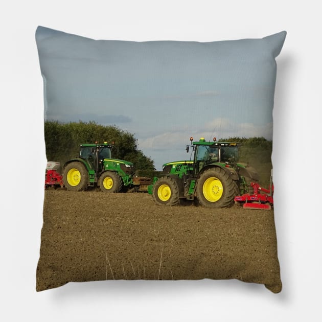 Sowing for 2018 Pillow by AH64D