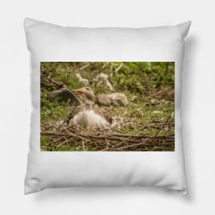 91916 goose goose Pillow