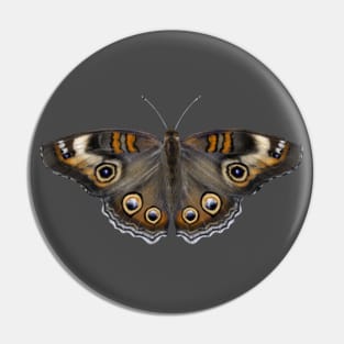 common buckeye butterfly Pin