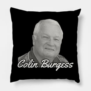 Retro Burgess Pillow