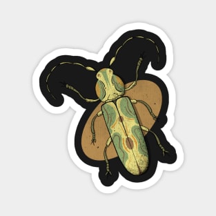 Coleoptera insect illustration 4 Magnet