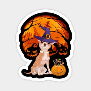 Chihuahua pumpkin witch Magnet